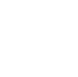 theft-Identification-light-icon