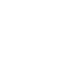 theft-Identification-light-icon