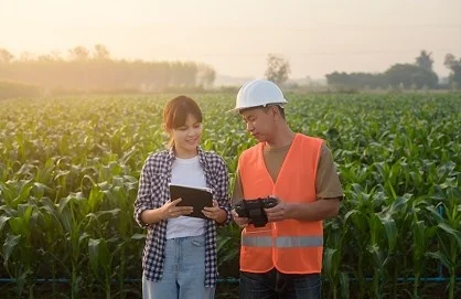 Crop monitoring image