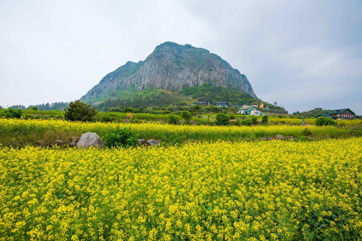 산방산