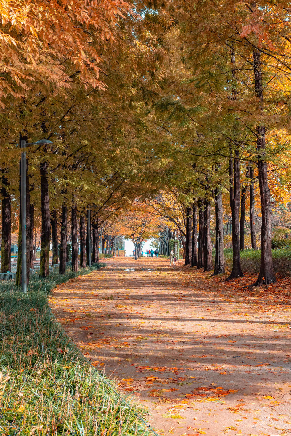 서울숲