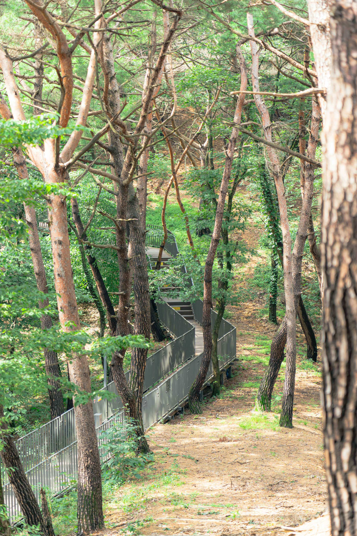 소금산 그랜드밸리