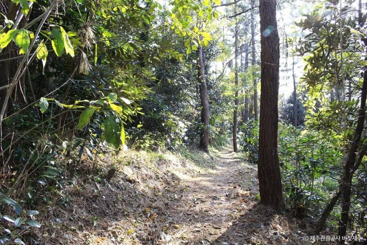 Susanbong Peak