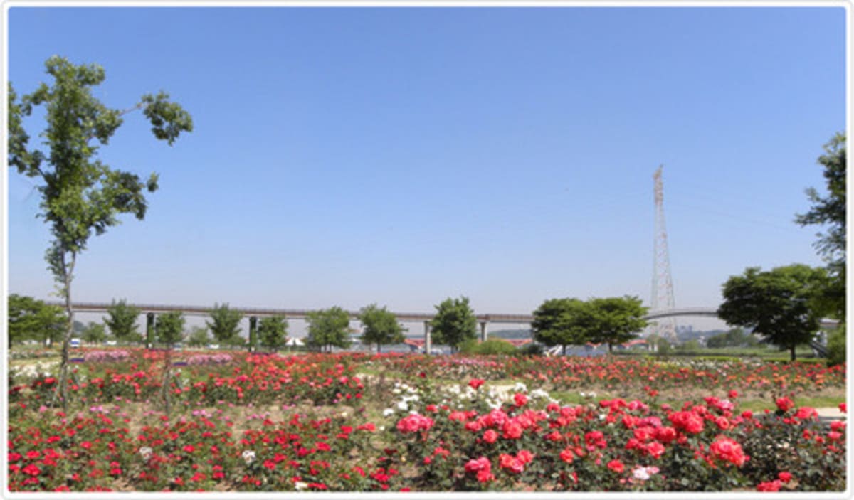 Yanghwa Hangang Riverside Park