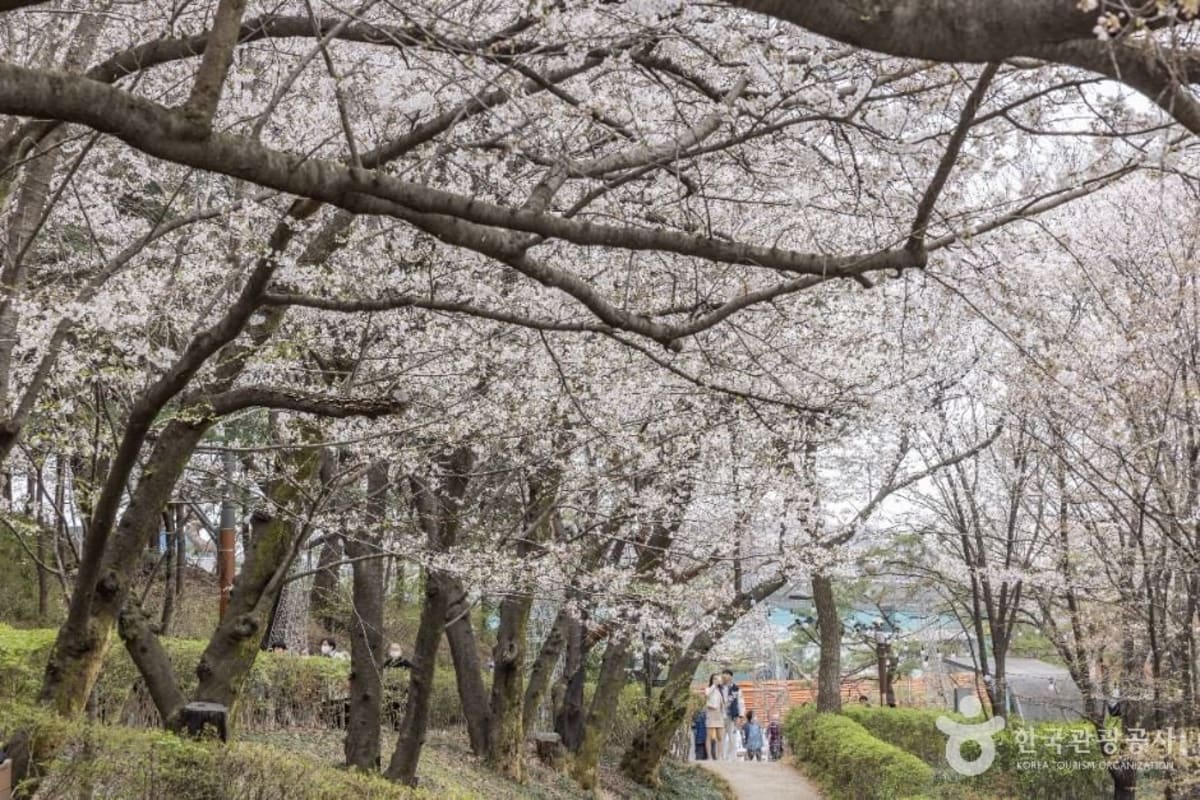 Yeonhui Forest Rest Area