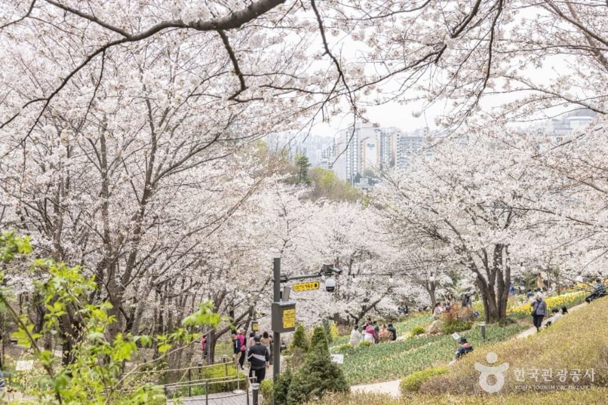 Yeonhui Forest Rest Area