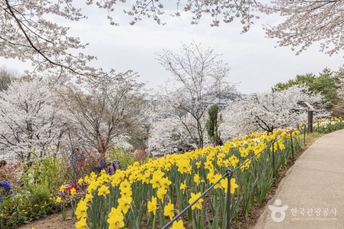 Yeonhui Forest Rest Area