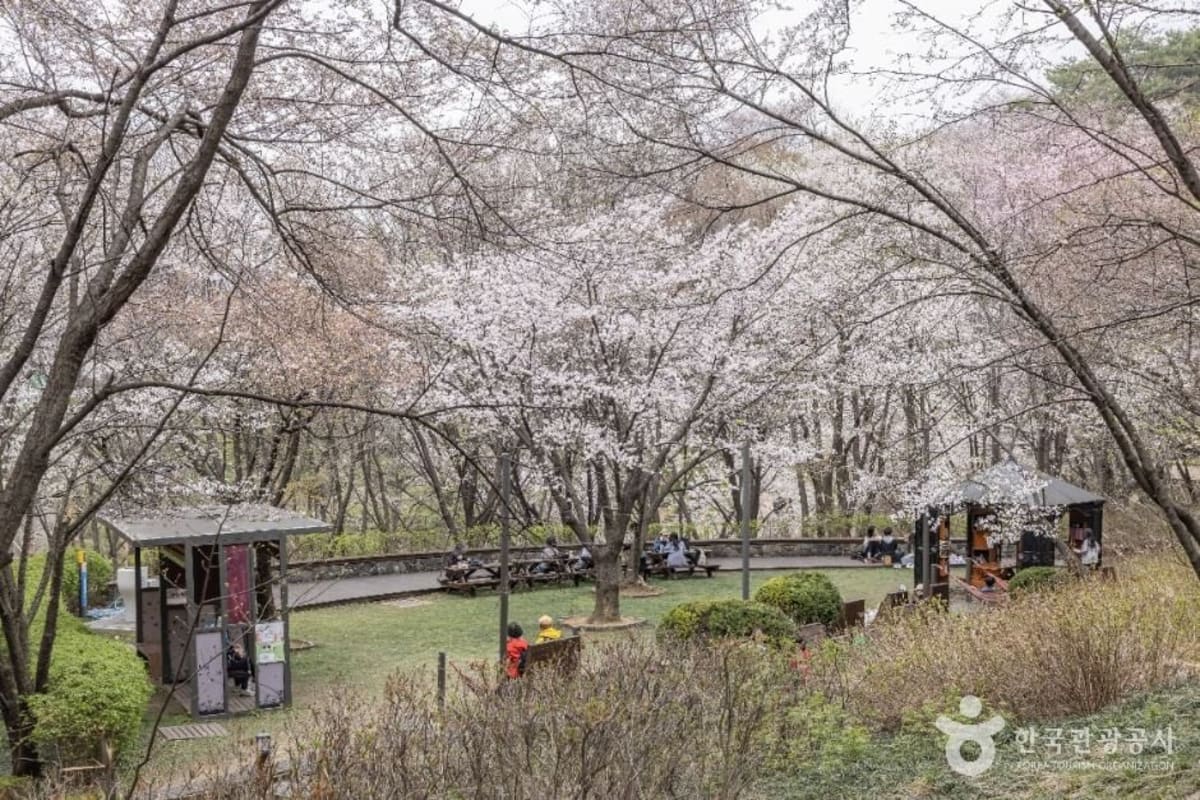 Yeonhui Forest Rest Area