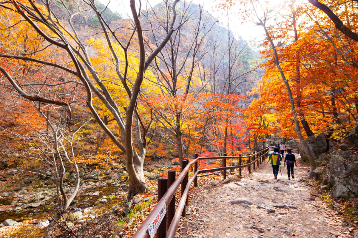 주왕산국립공원