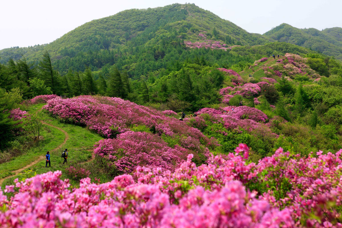 지리산국립공원