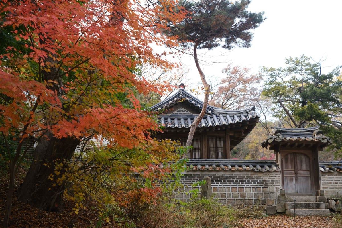 창덕궁