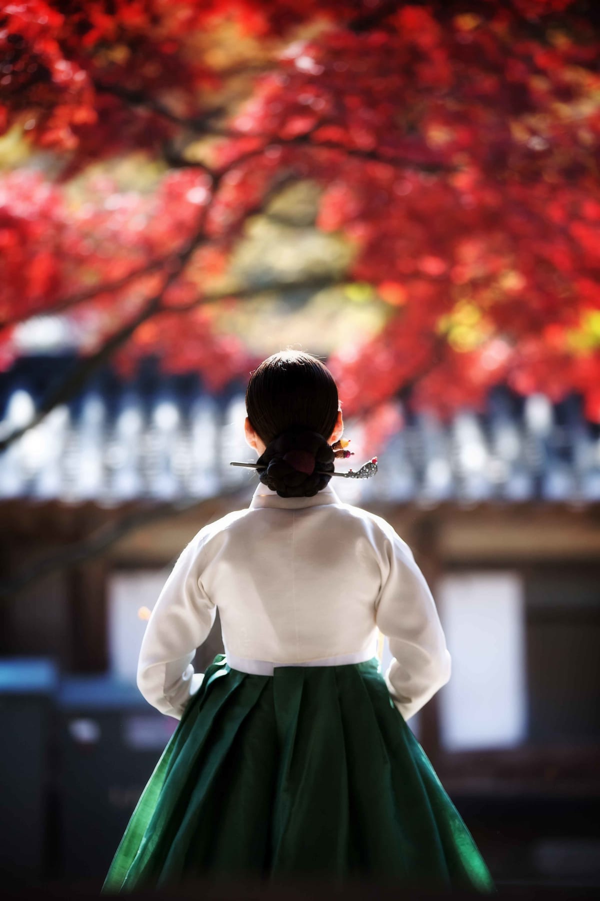 후원의 아씨