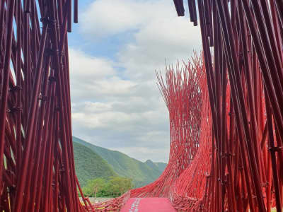 Yongwol Y Park