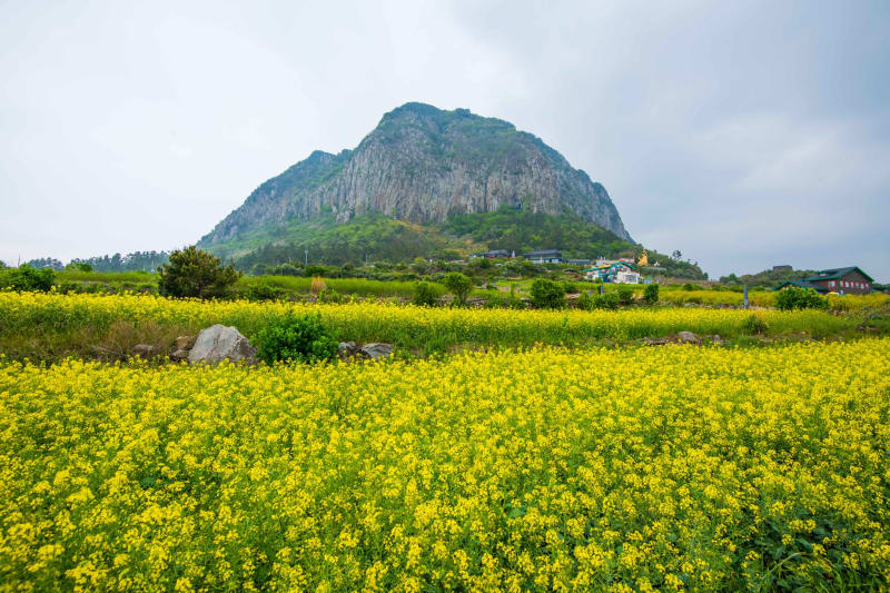 산방산