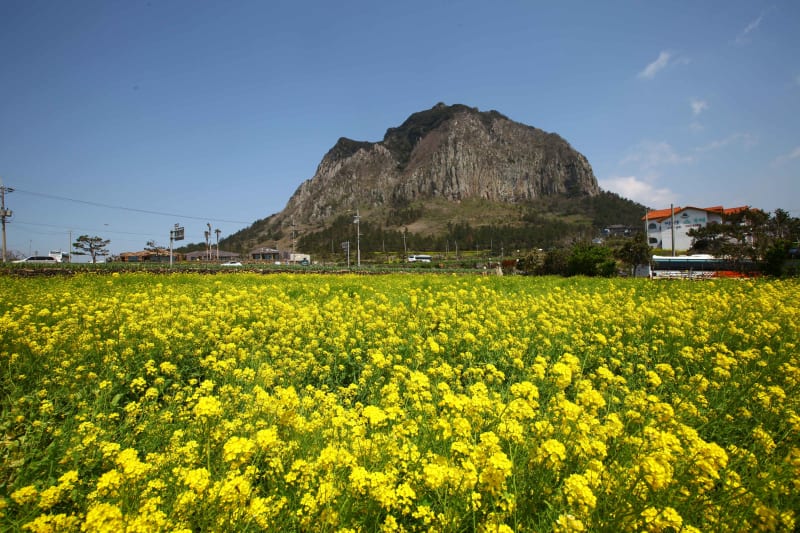 산방산