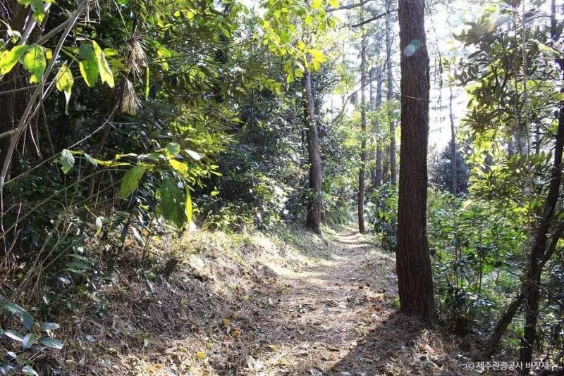 Susanbong Peak