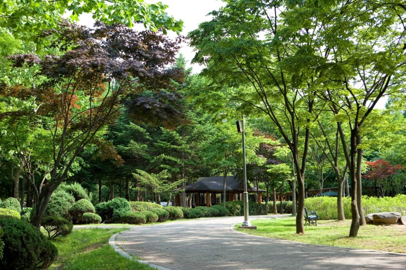 시민의 숲