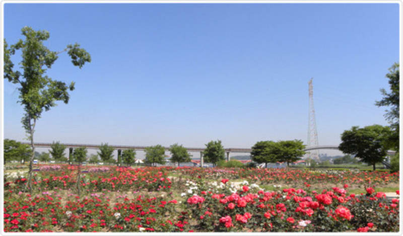 Yanghwa Hangang Riverside Park