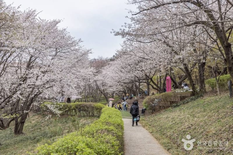 Yeonhui Forest Rest Area