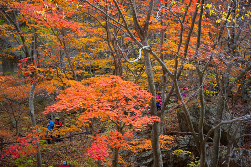 주왕산국립공원