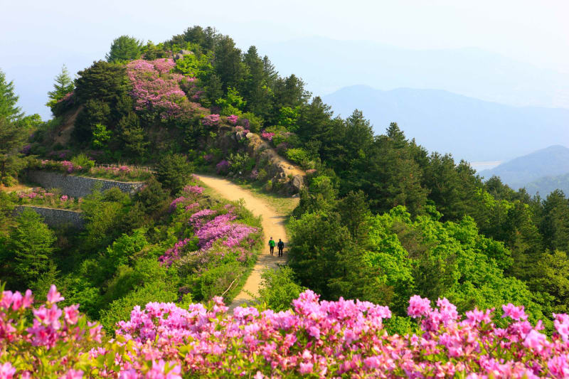 지리산