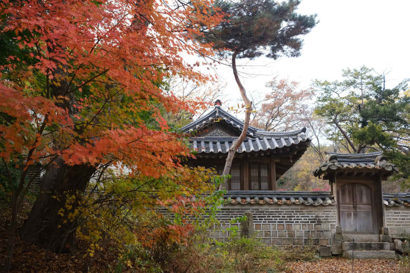 창덕궁