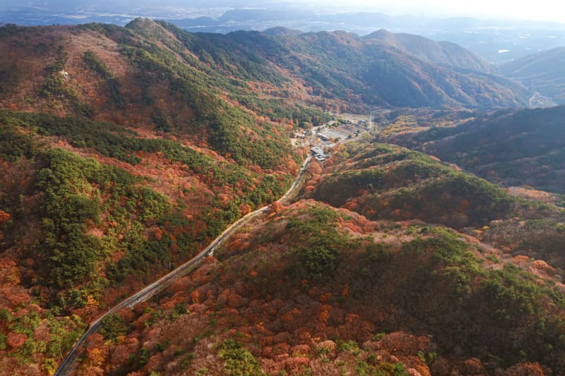 팔공산도립공원