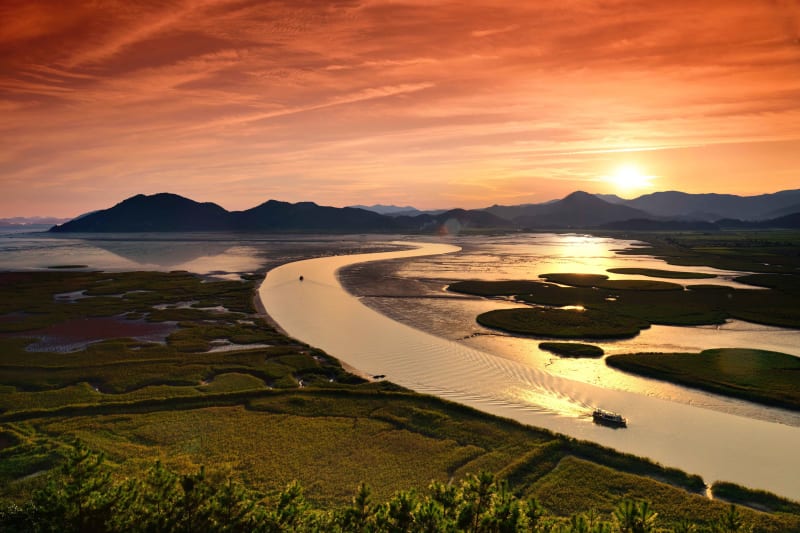 Suncheonman Bay