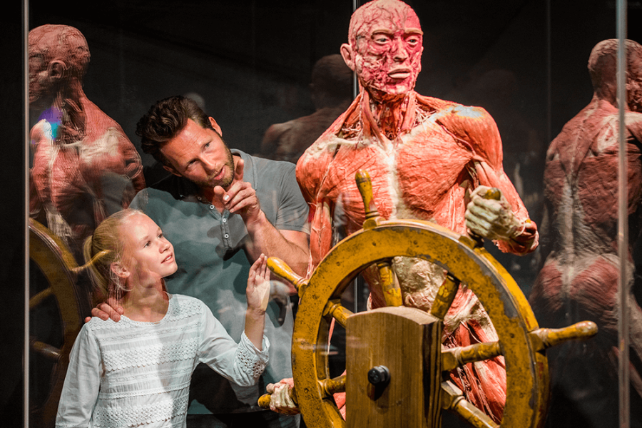 Body Worlds