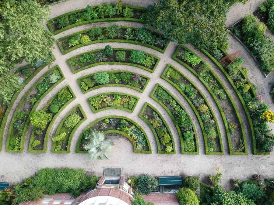 Hortus Botanicus Amsterdam