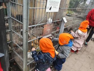 Kinderwasi - Anschauungsbild