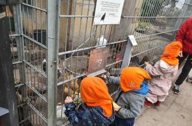 Kinderwasi - Anschauungsbild