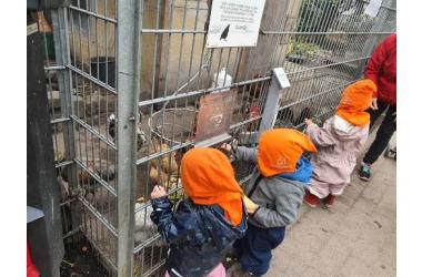 Kinderwasi - Anschauungsbild