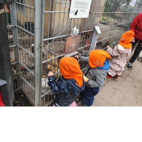 Illustrative image - 4