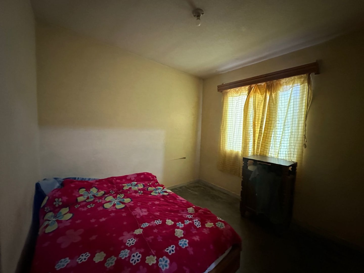 Foto 5