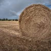 Agro-alimentaire
