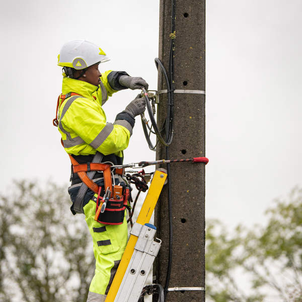 Onefield – Mise à jour du Bilan Carbone® 2024 : 15% d’intensité carbone