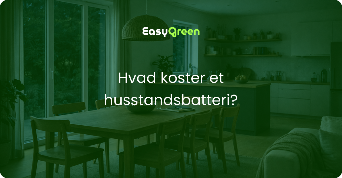Hvad koster et husstandsbatteri