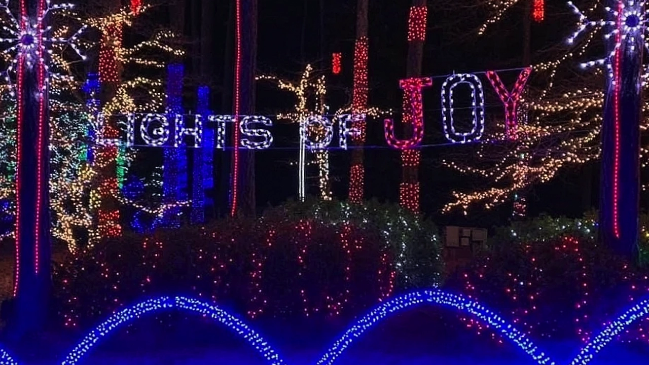 Lights of Joy preview