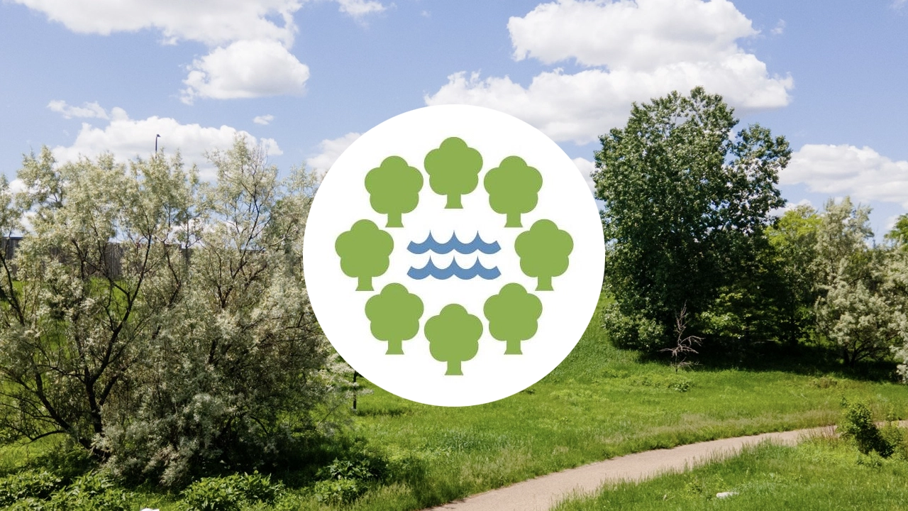 City of Minneapolis preview