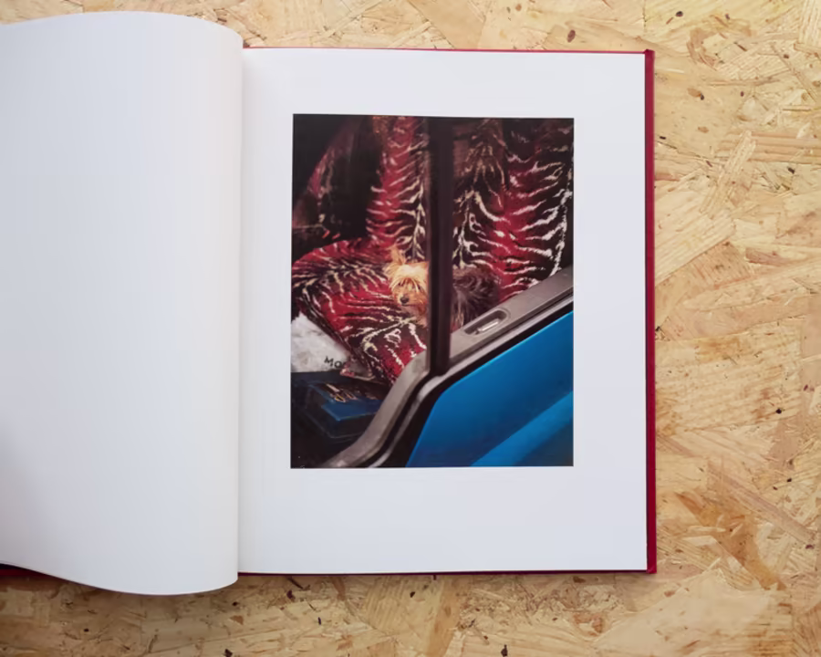 A photograph of a book, image is of a dog sat in a car with tiger striped seat covers