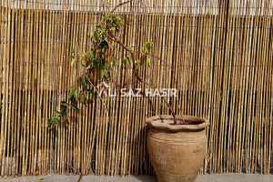 Bahçe Dekorasyon Önerileri