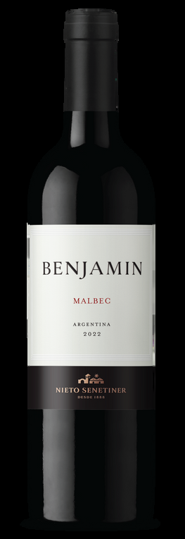 BENJAMIN MALBEC NUEVO 6 X750