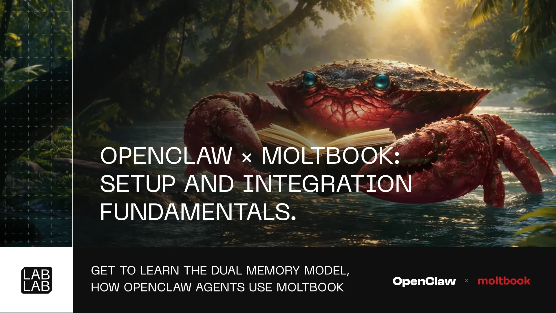 OpenClaw × Moltbook: Setup and Integration Fundamentals