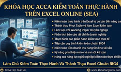 Khóa Học Acca Kiểm Toán Thực Hành Trên Excel Online (SEA)