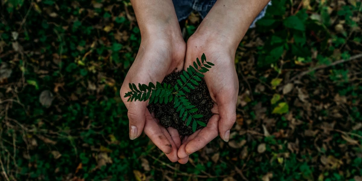 Penanaman 10,000 Pohon di Kawasan Hutan Lindung Sukamara