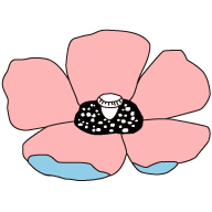 꽃
