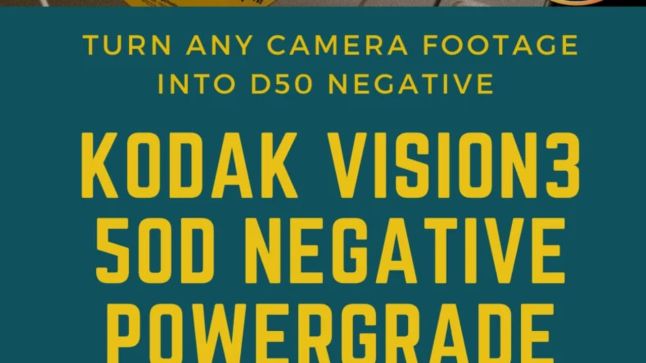 KODAK VISION3 5203 D50
