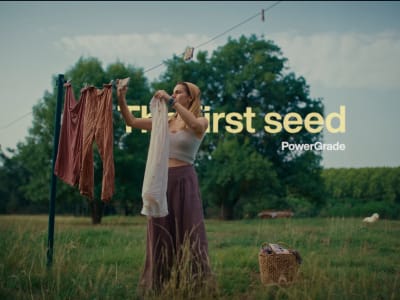 The first seed