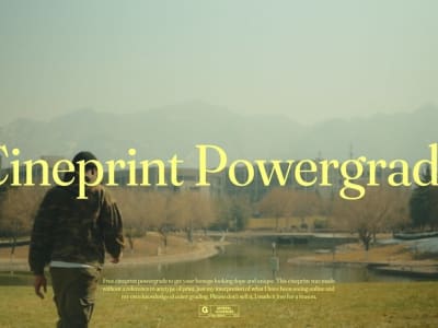 Roninxvi  Cineprint Powergrade
